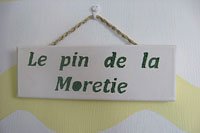 pin.jpg